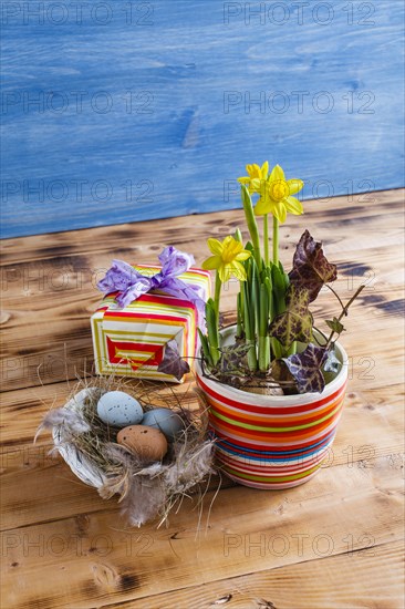Easter decoration with daffodils in a pot