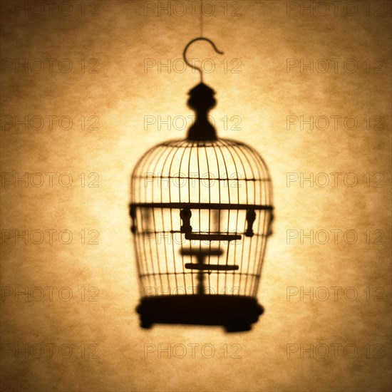 Birdcage