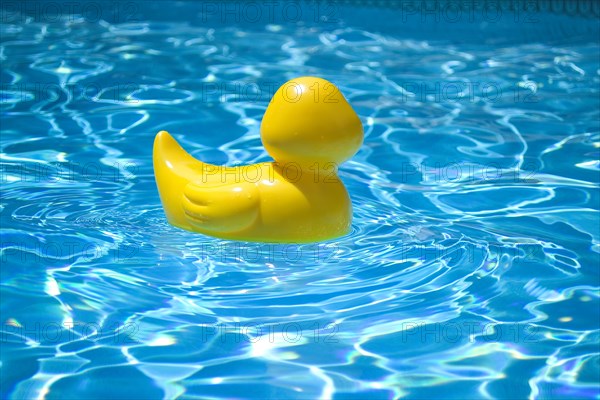 Yellow rubber duck in pool