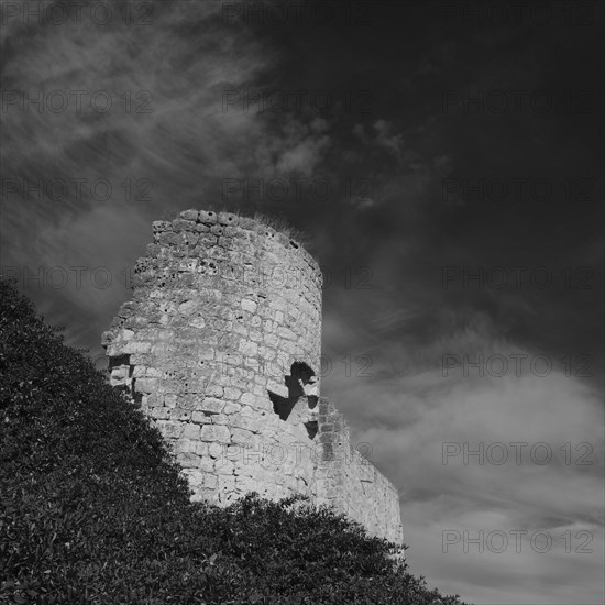 A tower of the Castello de Iscar rises out of the forest