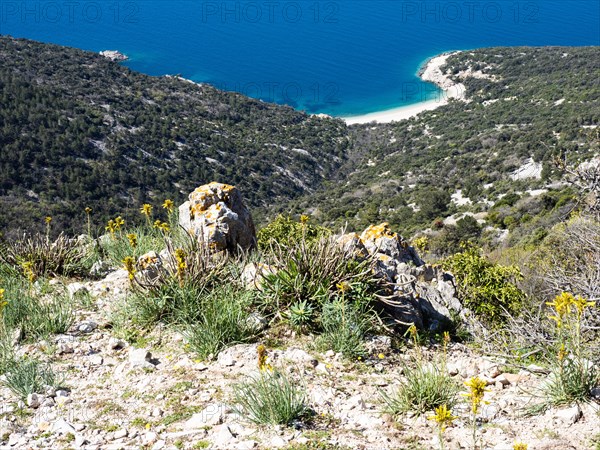 View of the blue sea and the sandy beach