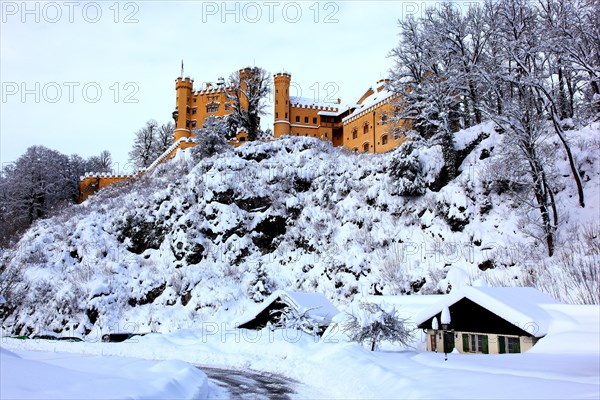 Hohenschwangau Castle in winter