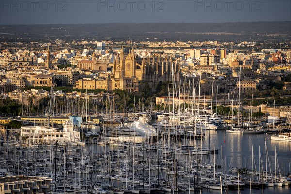 View over Palma de Majorca in the evening light