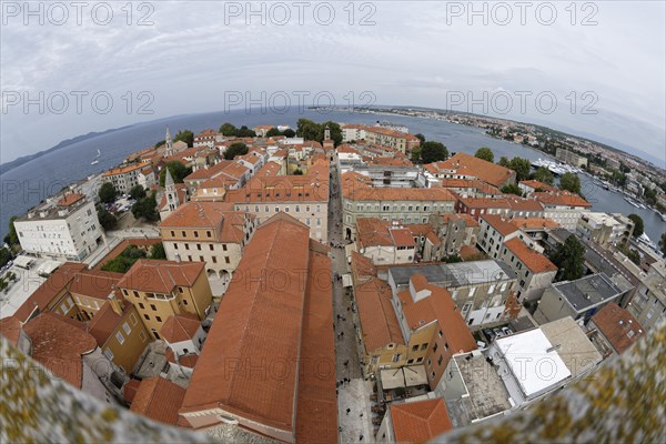 From Campanile Sveti Stosija