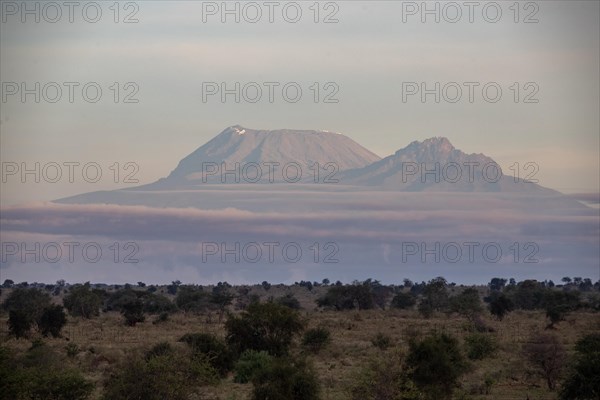 View on a safari