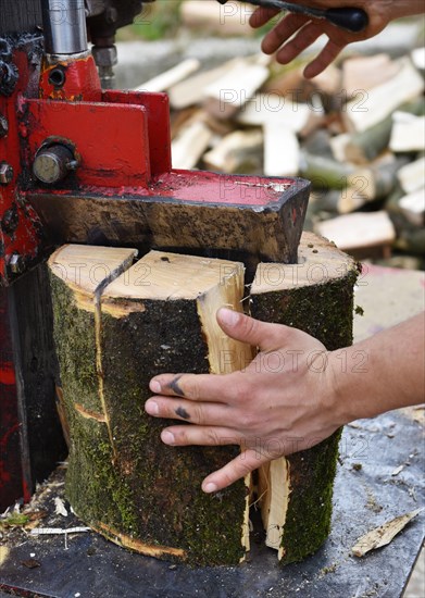 Worker making firewood with a log splitter