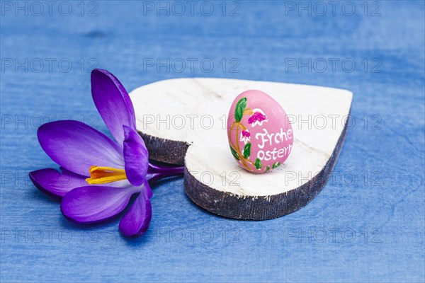 Wooden Heart with Crocus Blossom