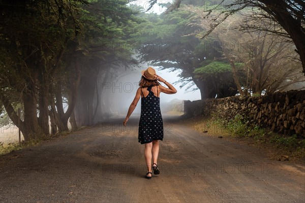 Tourist woman walking through foggy trees towards the juniper forest in El Hierro. Canary Islands
