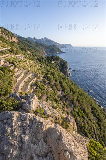 View Torre des Verger