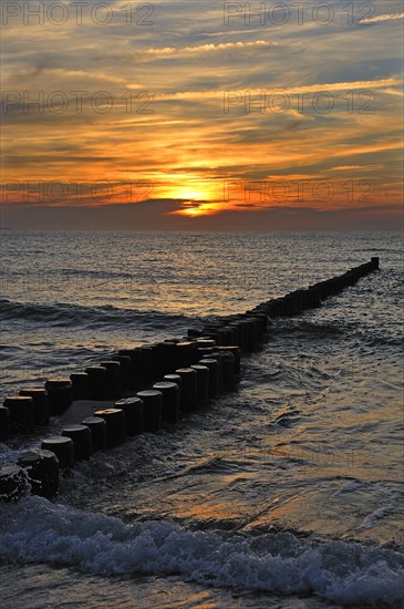 Groyne in the Baltic Sea on the western beach of Darss in the evening sun