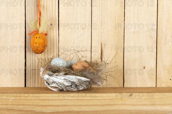 Easter nest from a shell