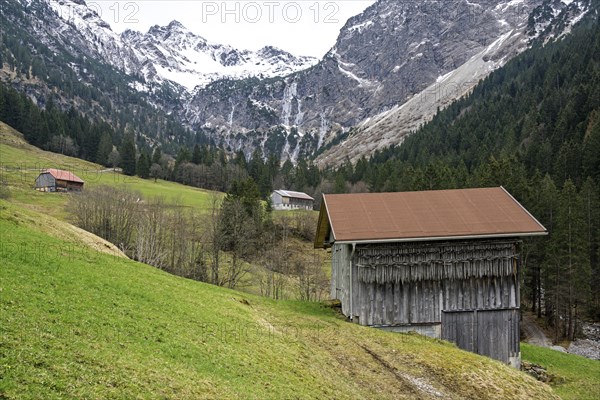 Agricultural buildings