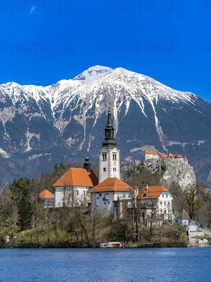 Bled Castle