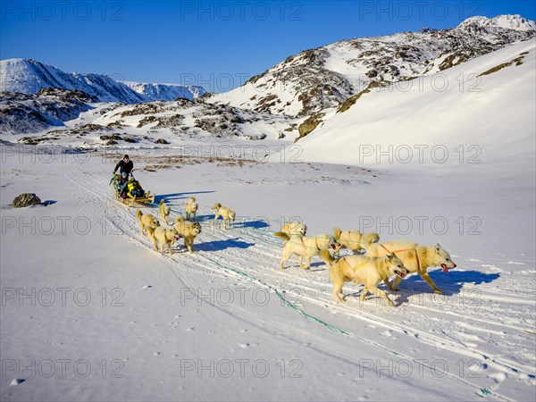 Inuit and two tourists with his dog sled team