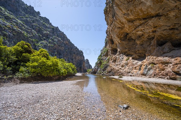 Ravine with river Torrent de Pareis