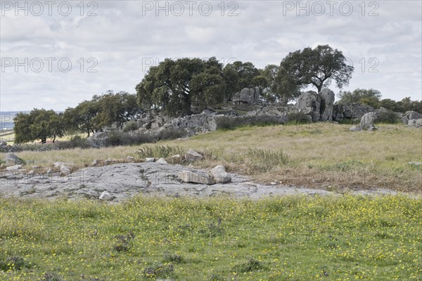 Landscape in the Extremadura