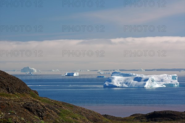 Icebergs in a wide bay