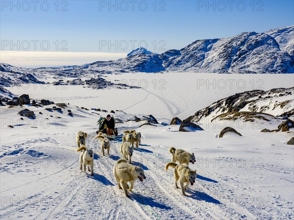 Inuit with his dog sled team