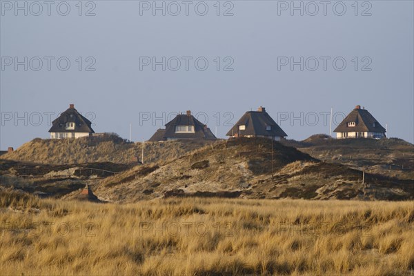 Houses with thatched roof in the dune landscape