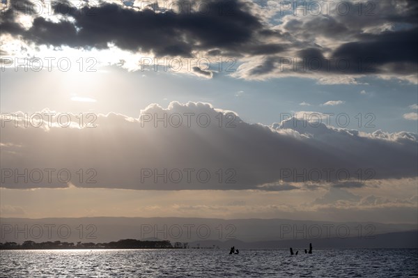 Sunbeams over a lake