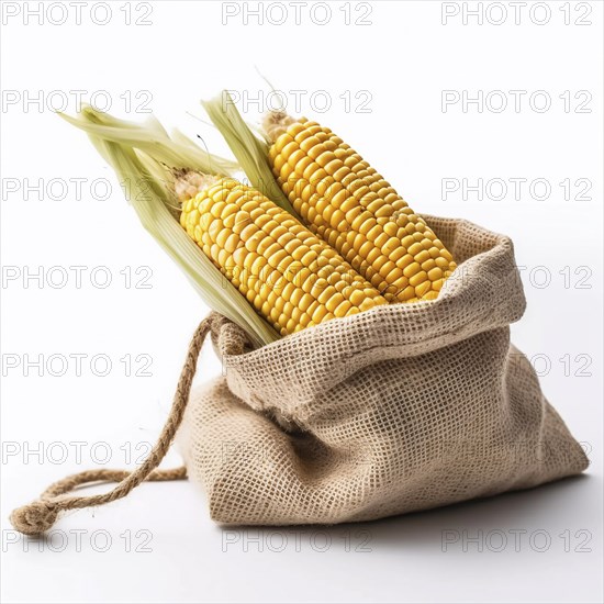 Old sack of corn