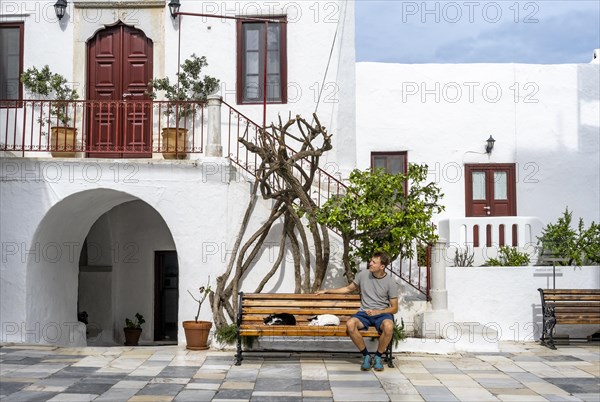Young man sitting on a bench with sleeping cats