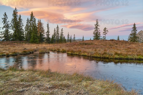 Autumn alpine pasture at sunrise