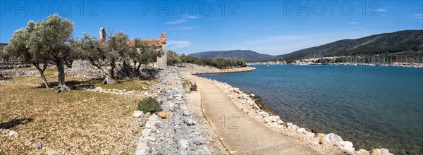 Olive grove and old church