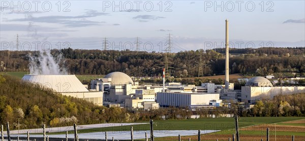 Neckarwestheim nuclear power plant goes offline