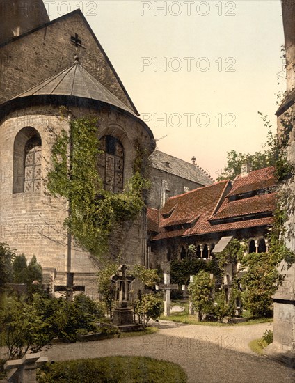 Cathedral and 1000-year-old rosebush in Hildesheim