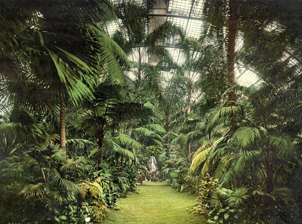 In the Palm House