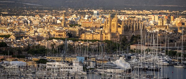 View over Palma de Majorca in the evening light