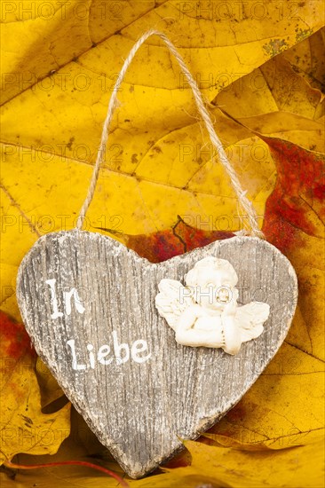 Wooden Heart on Autumn Leaves