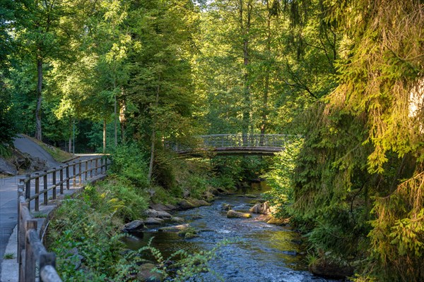 Course of the river Enz with bridge