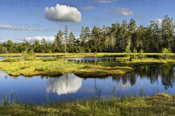 The Wildsee with its small islands in the Wildseemoor on a sunny day