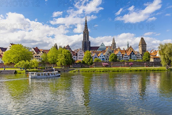 Danube bank with view of the historic old town