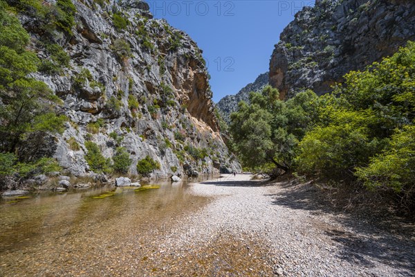 Ravine with river Torrent de Pareis