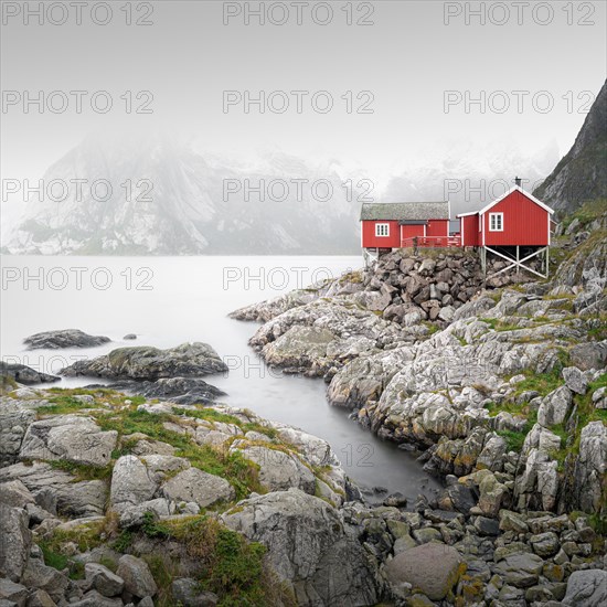 Red wooden houses by the fjord in Hamnoy