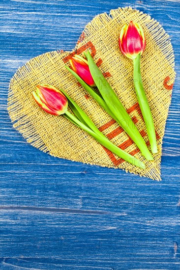 Three Tulips on Brown Linen Heart