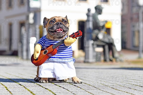 French Bulldog dog dressed up as street performer musician wearing a funny costume with striped shirt and fake arms holding a toy guitar standing in city on sunny day