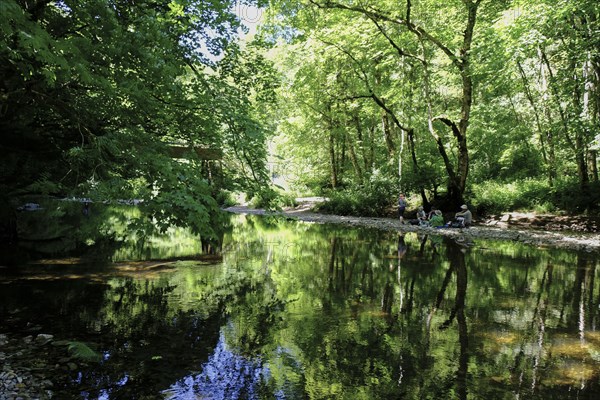 Summer in the Wutach Gorge