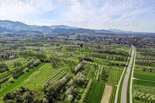 Spring in the Renchtal in the Ortenau