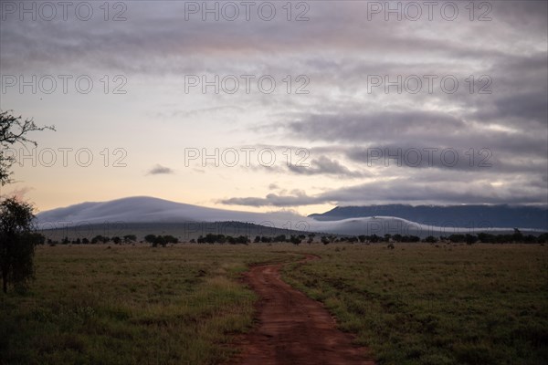 View on a safari