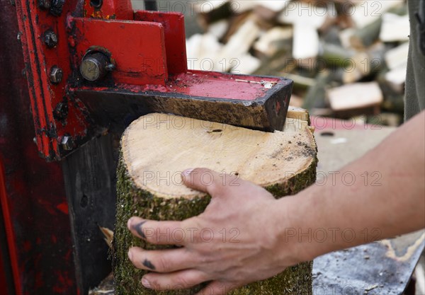 Worker making firewood with a log splitter