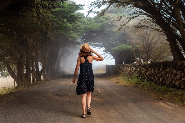 Tourist woman walking through foggy trees towards the juniper forest in El Hierro. Canary Islands