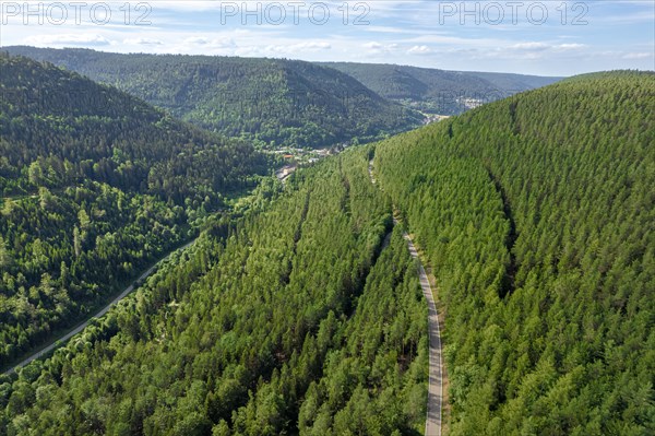Aerial view of Road through the Black Forest