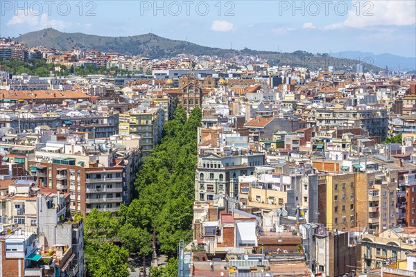 View over the houses of the city