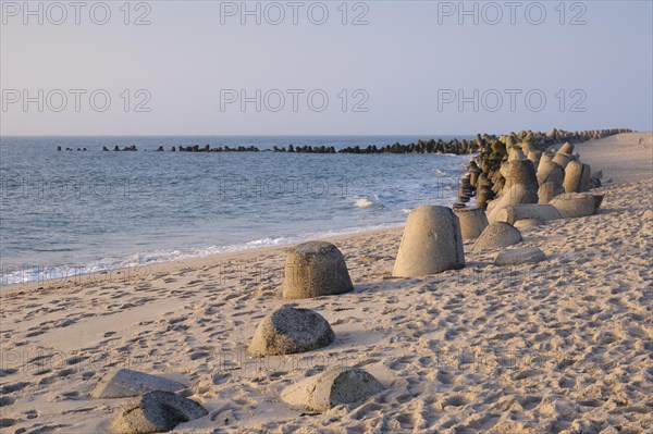 Tetrapods