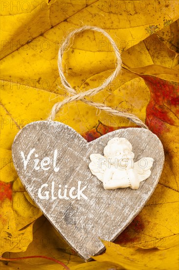 Wooden Heart on Autumn Leaves