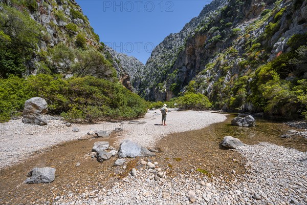 Hikers in a gorge with river Torrent de Pareis